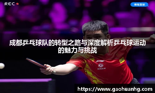 成都乒乓球队的转型之路与深度解析乒乓球运动的魅力与挑战